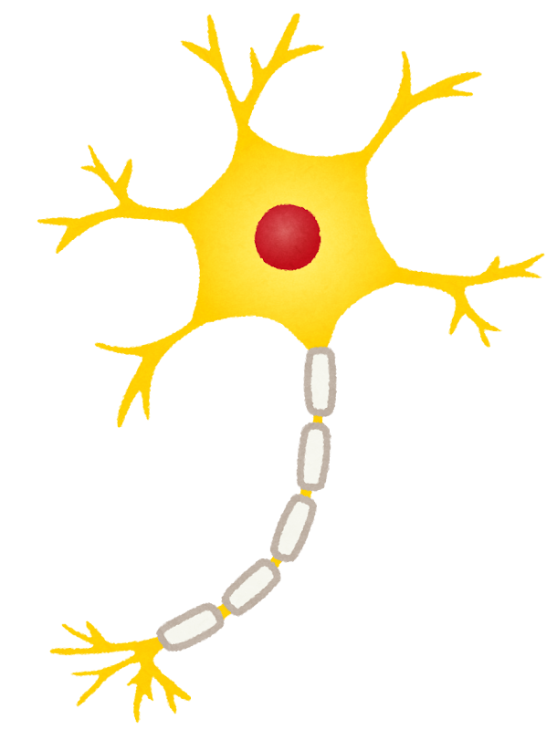 神経細胞 ニューロンのイラスト かわいいフリー素材集 いらすとや