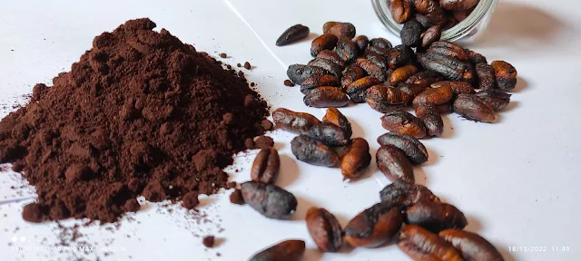 Date Seed Powder Unveiling Health Benefits