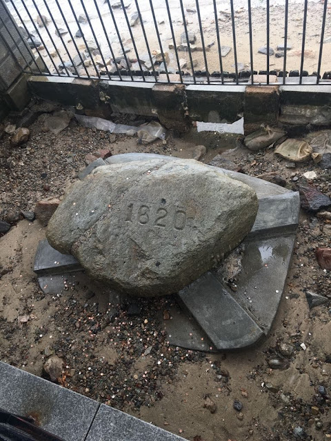 plymouth-rock