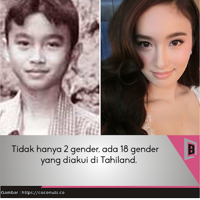 Bupugu - 18 Gender yang Diakui Thailand