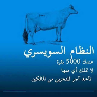 النظام السوسري : عندك 10000 بقرة، لا تملك منها و لا واحدة. تأخذ أجر التخزين من المالكين.