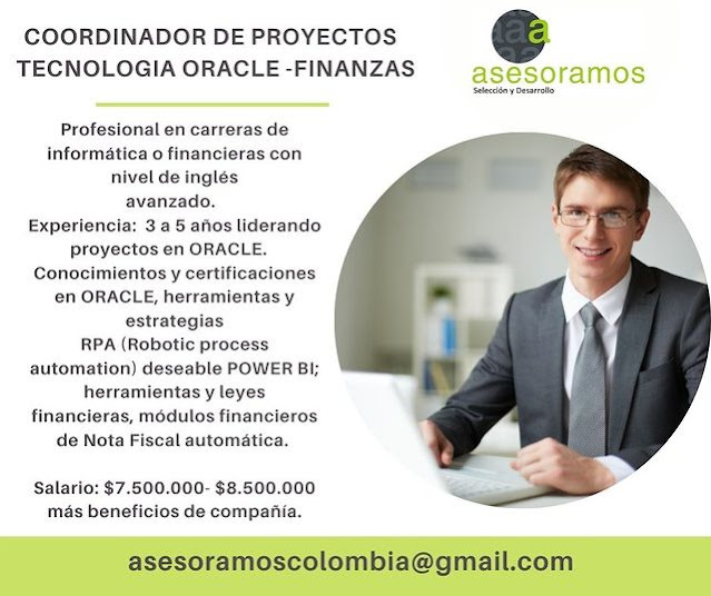 COORDINADOR DE PROYECTOS - ORACLE