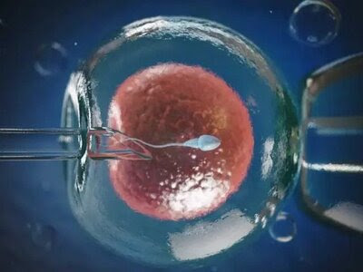 ગોવા નિશુલ્ક IVF સારવાર આપનાર દેશનું પ્રથમ રાજ્ય બન્યું.