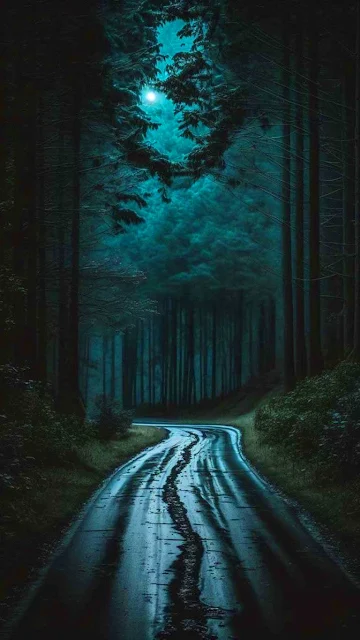 Estrada A Noite, Lua E Árvores