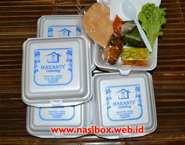 Order Nasi Box Murah di Wisata Ciwidey WA 0813-2373-9973