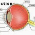 How to protect eye for life