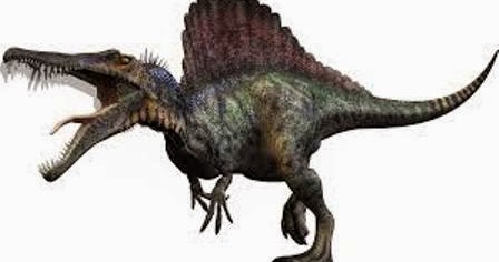 Spinosaurus Dinosaurus Terbesar di Jamannya Ragam Dunia 