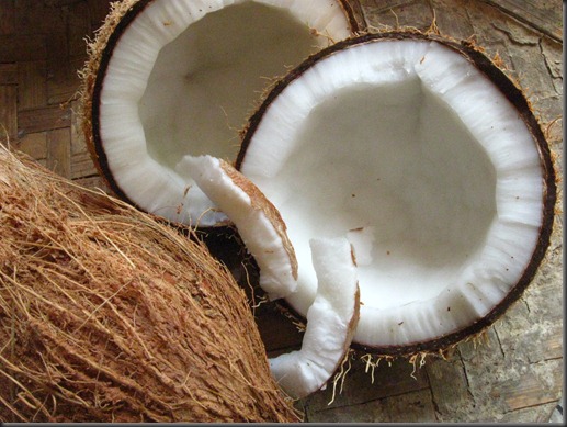 coconut 2