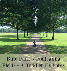 Bute-Park-Pontcanna-fields-a-toddler-explores-text-on-image-of-toddler-on-bike-in-avenue-of-trees