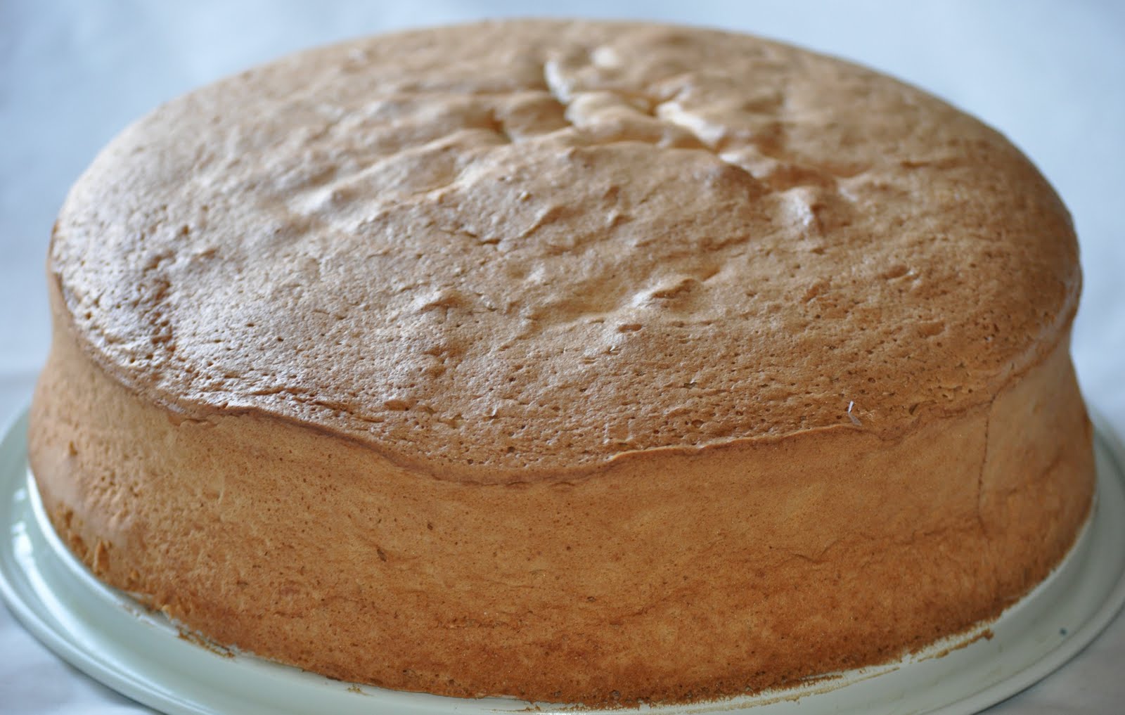 Click here for the sponge cake's recipe: