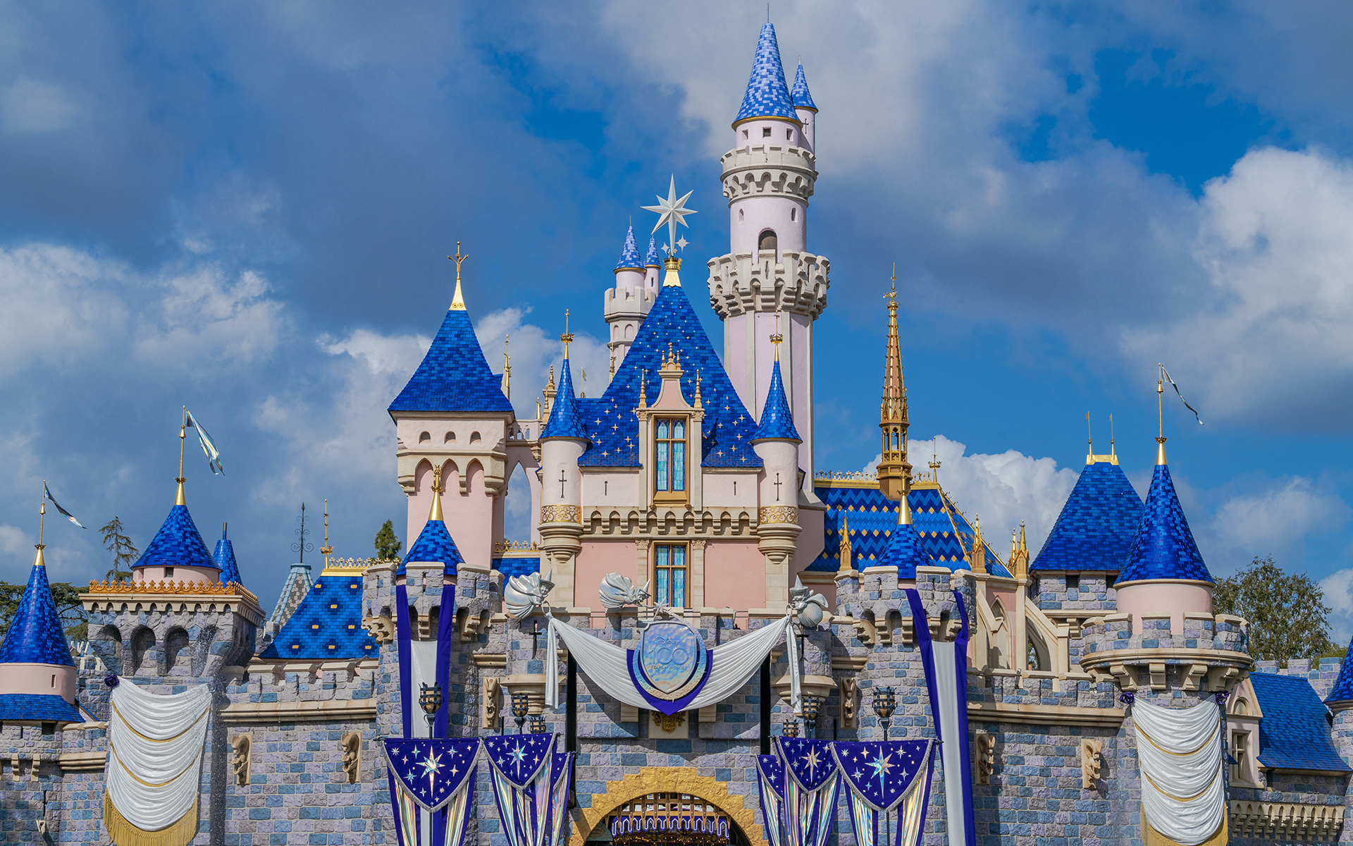 The Disney 100 Sleeping Beauty Castle