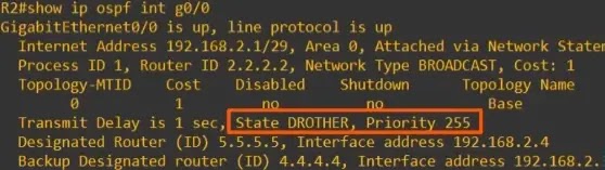 show ip ospf interface drother