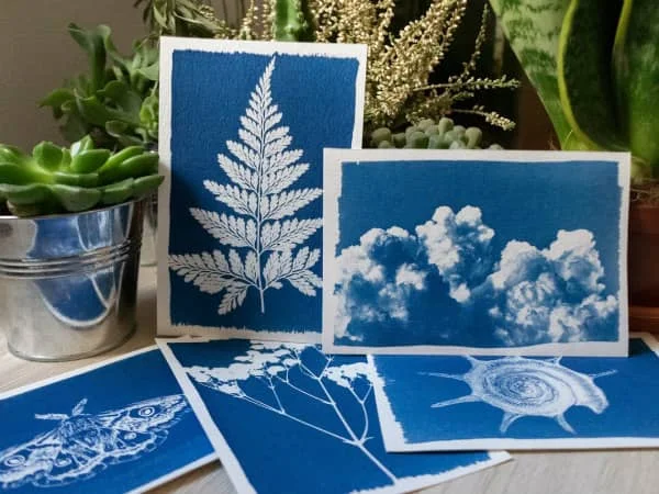 five blue and white cyanotype images displayed near greenery