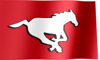 The waving fan flag of the Calgary Stampeders with the logo (Animated GIF)