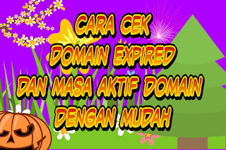 Cara cek Domain Expired dan masa aktif domain dengan mudah