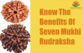 Know The Benefits Of Seven Mukhi Rudraksha