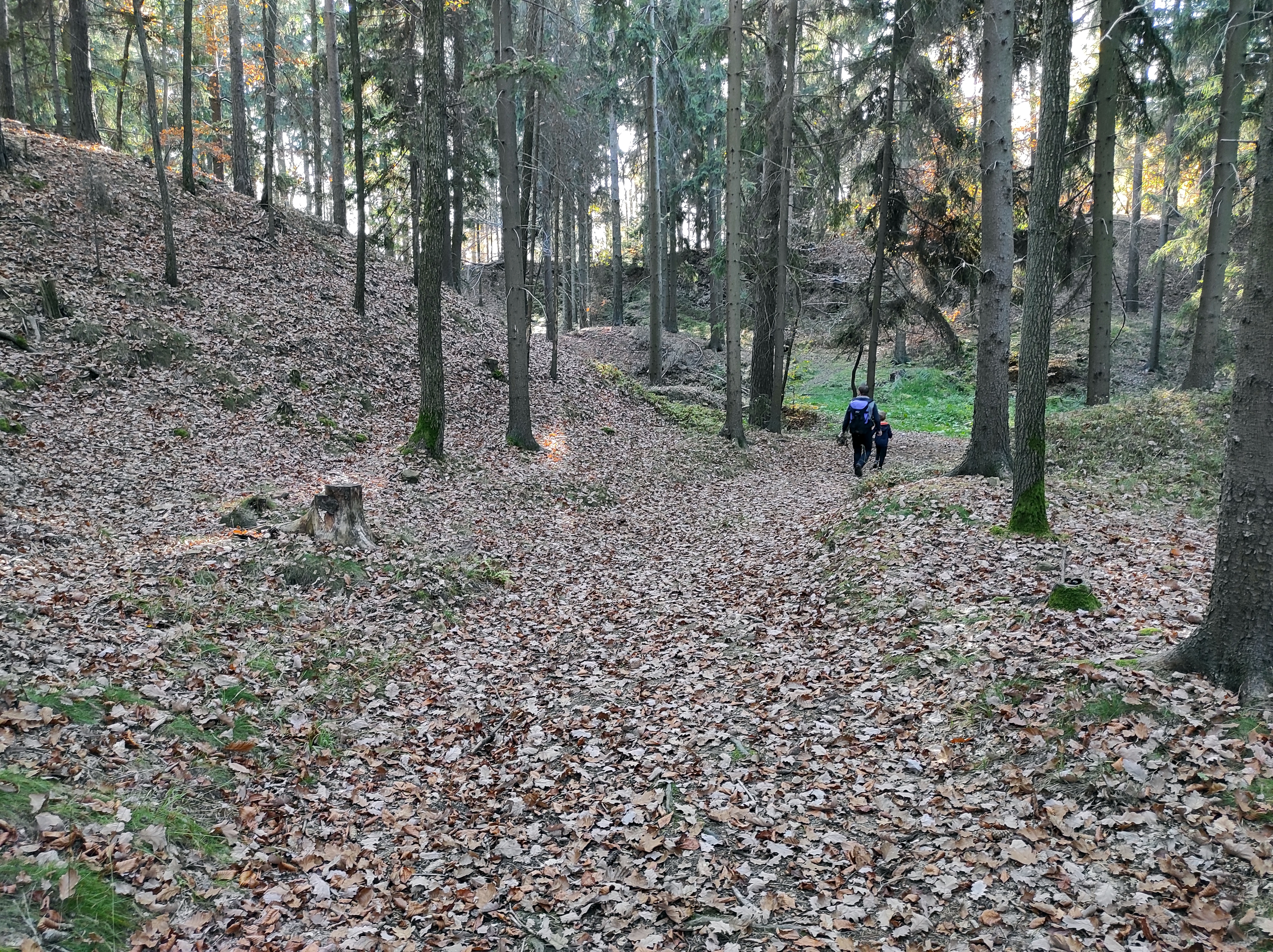 miejsce na ognisko Wilków niedaleko Złotoryi