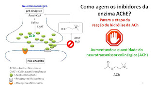   acetilcolinesterase, acetilcolinesterasa, acetilcolina, acetylcholinesterase, cholinesterase inhibitors