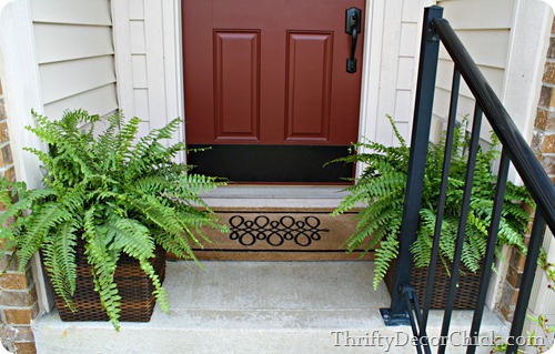 ferns on front porch