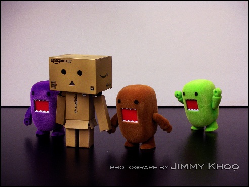 danbo and domo pictures