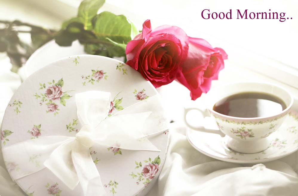 Lovely and Beautiful Good Morning Wallpapers ~ Allfreshwallpaper