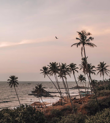 7 Famous Beaches You Should Visit In Goa (In 2019)