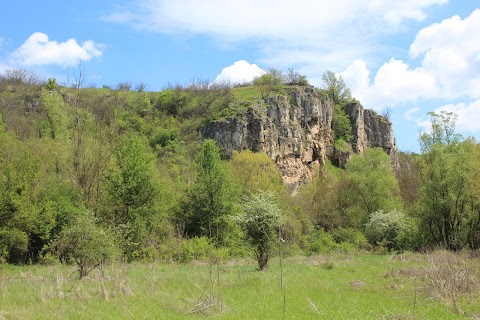 Пещерите със скални рисунки до с. Царевец, община Мездра