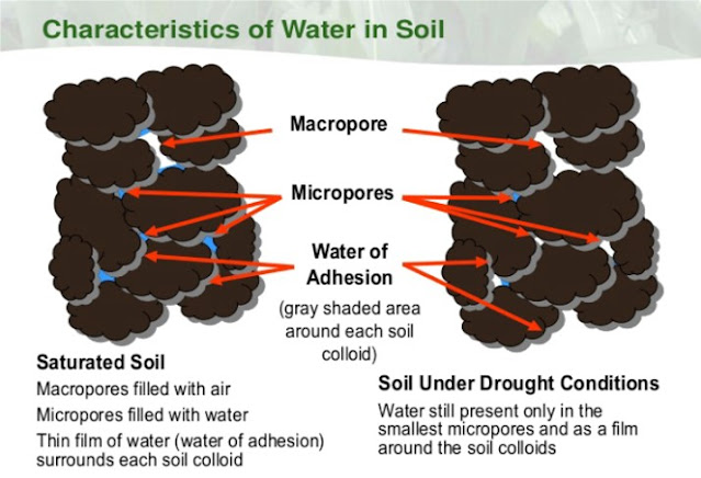 ຊັບ ·         ເນື້ອ​ດິນ (Soil texture) ຫລື ອາ​ນຸ​ພາກ​ດິນ Soil partical: ມີ3ປະ​ເພດ ຄື:  -        ຊາຍ Sand: ເສັ້ນ​ຜ່າ​ສູນ​ກາງ       0.02-2ມມ  -        ຊາຍ​ແປ້ງ (Silt)  ເສັ້ນ​ຜ່າ​ສູນ​ກາງ   0.002-0.02ມມ  -        ດິນ​ຫນຽວ Clay ເສັ້ນ​ຜ່າ​ສູນ​ກາງ   <0.002 ມມ           ·         ນ້ຳ​ໃນ​ດິນ ຈະ​ຢູ່​ໃນ​ຊ່ອງ​ຫວ່າງ​ຂະ​ຫນາດ​ນ້ອຍ​ໃນ​ດິນ (micropore) ດ້ວຍ​ແຮງ capillary forces  ·         ອາ​ກາດ ຢູ່​ໃນ​ຊ່ອງວ່າງ​ຂະ​ຫນາດ​ໃຫຍ່​ໃນ​ດິນ (macropore) ໃຫ້​ອ໊ອກ​ຊີ​ເຈນ​ແກ່​ຮາກ​ພືດ ສັດ​ນ້ອຍ ແລະ ຈຸ​ລິນ​ຊີ​ໃນ​ດິນ