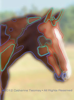 A softened image color-coded to a range of values.