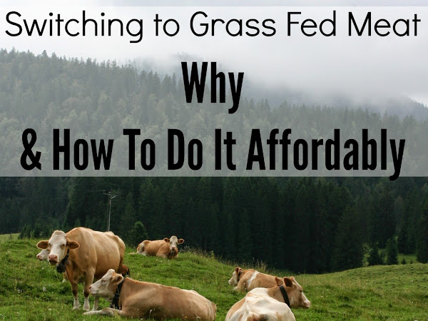 Switching to Grass Fed Beef: Why & How to Do it Affordably