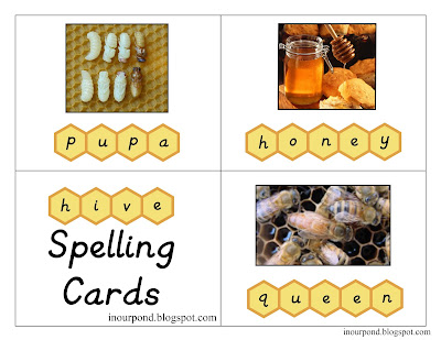 FREE Bee Movable Alphabet + Spelling Cards