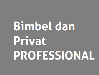 Bimbel dan Privat PROFESSIONAL