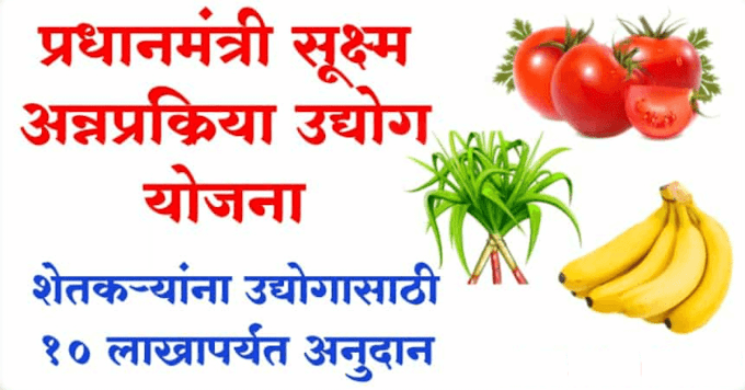 PMFME Scheme: अन्न प्रक्रिया उद्योगासाठी मिळतेय १० लाख ते ३ कोटींपर्यंतचे अनुदान