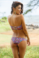 Arianny Celeste hot bikini body Solkissed swimwear models photos