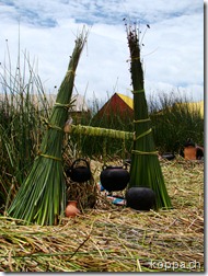110302 Puno (9)