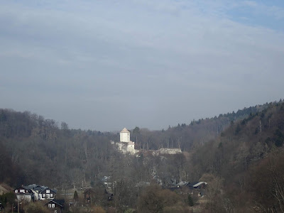 Ojcowski Park Narodowy, Dolina Sąspowska, grzyby 2019, grzyby zimowe, grzyby w Ojcowie