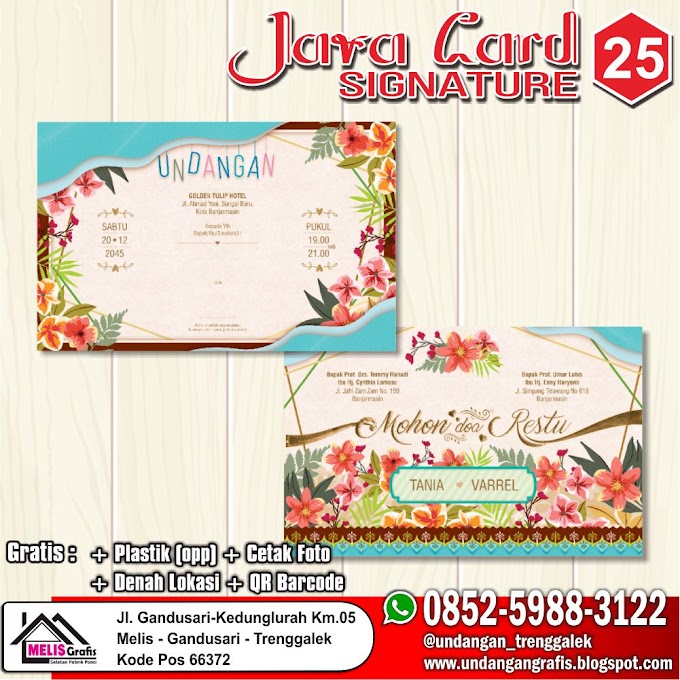 JV SIGNATURE 25