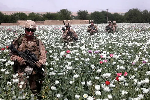 Resultado de la imagen para el opio Afganistán custodiado por nosotros de las fuerzas armadas