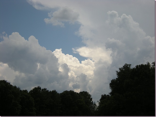 DSCN6546