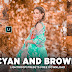 Lightroom cyan and brown Preset Download