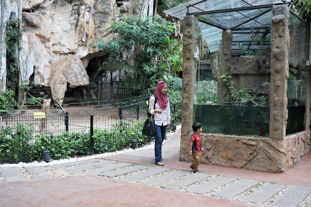 Trip To Lost World Of Tambun Part 3: Dry Land