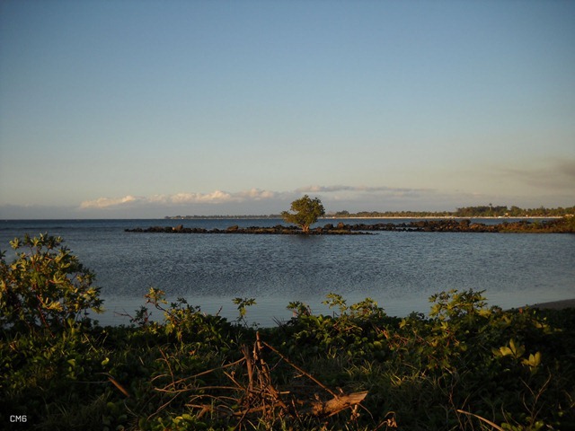 DSCN7209_2