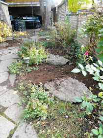 Toronto Leslieville Backyard Garden Fall Clean up after by Paul Jung Gardening Services