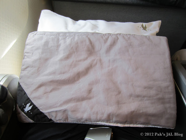 AA 767-200 business class duvet and pillow