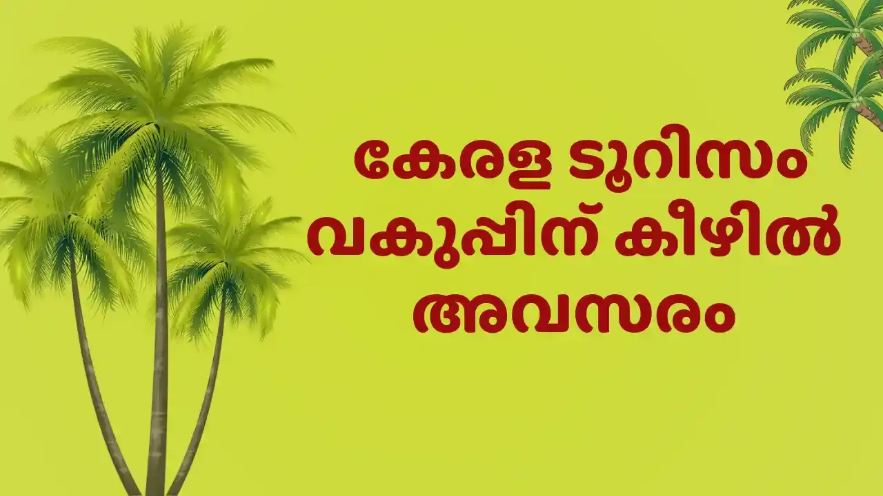 Kerala Tourism Life Guard