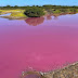 Φοβερές εικόνες από λίμνη που έγινε… ροζ – Τι εξετάζεται από τους επιστήμονες