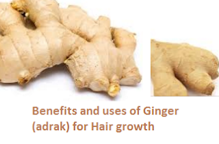 Benefits and uses of Ginger (adrak) for Hair growth