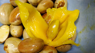 Jackfruit