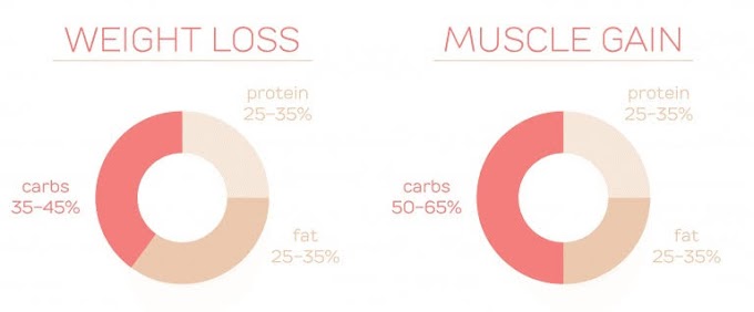 Calculate your macro nutrient