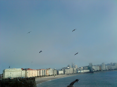 by E.V.Pita .... Fog in Corunna / por E.V.Pita.... Niebla en A Coruña  / por E.V.Pita.... Néboa na Coruña